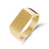 Unisex Signet Ring - Unisex Ring - The Steel Shop