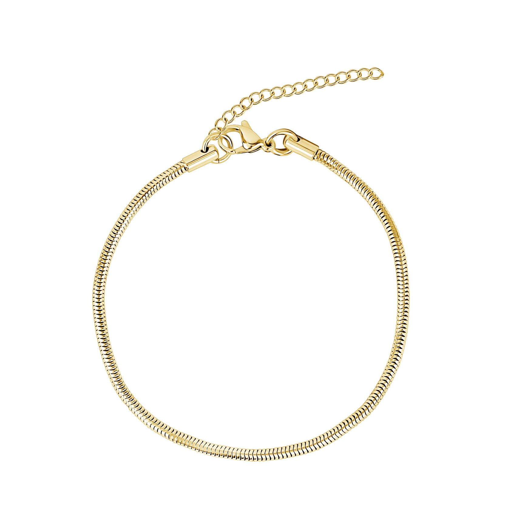 Round Snake Chain Anklet | 2.5MM - Anklets - The Steel Shop