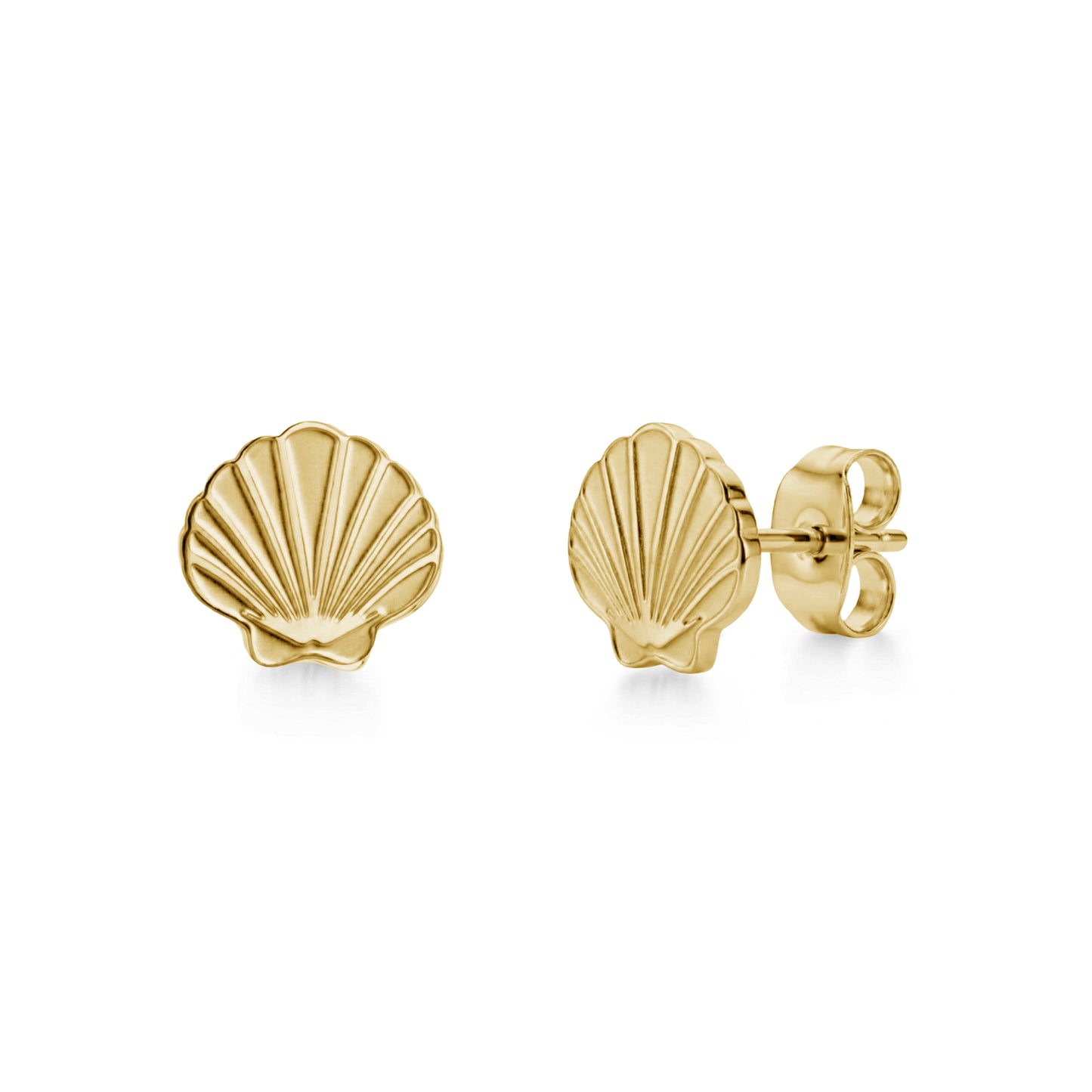 Minimal Seashell Stud Earrings