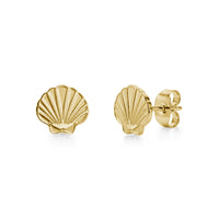 Minimal Seashell Stud Earrings