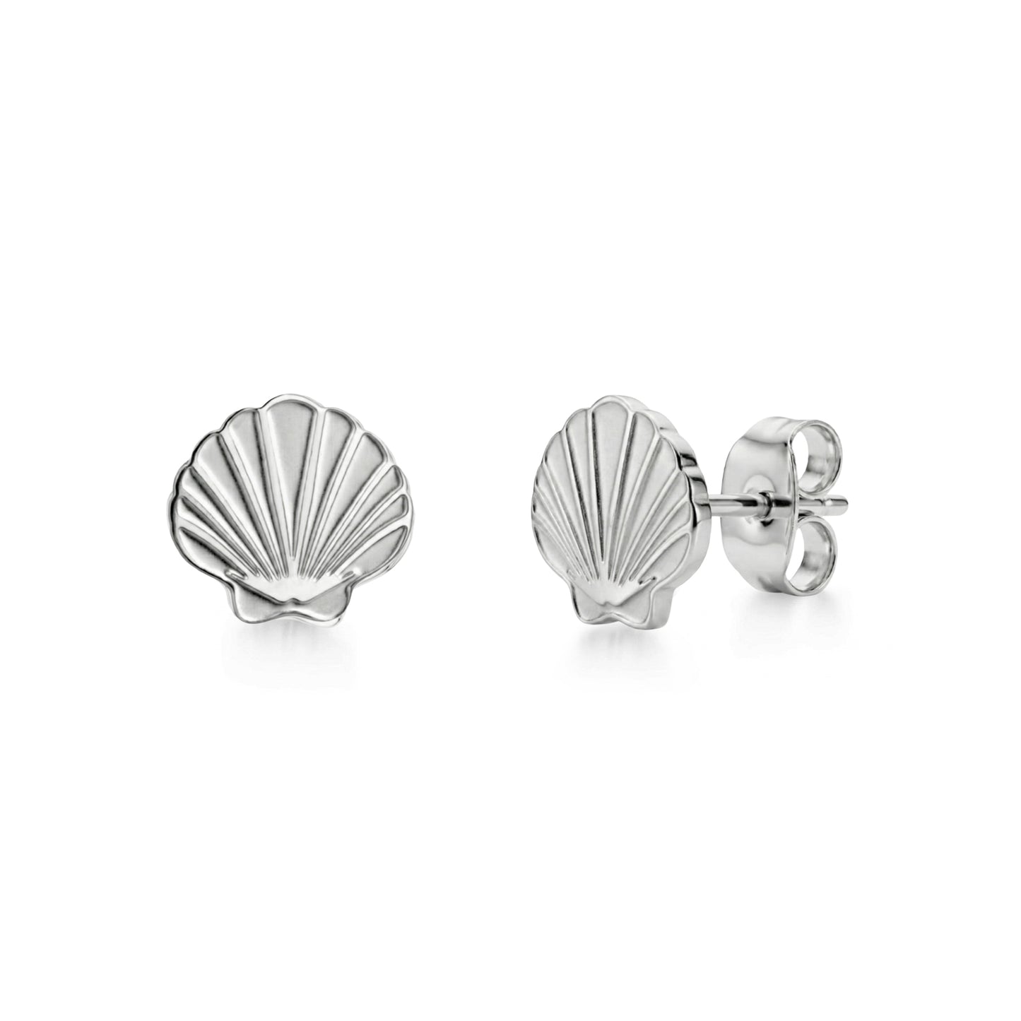 Minimal Seashell Stud Earrings
