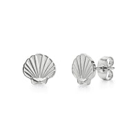 Minimal Seashell Stud Earrings