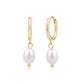 Freshwater Pearl Drop Hoops - Earrings - The Steel Shop