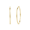 Gold stainless steel XL hammered hoop earrings with 63mm diameter and 3mm width