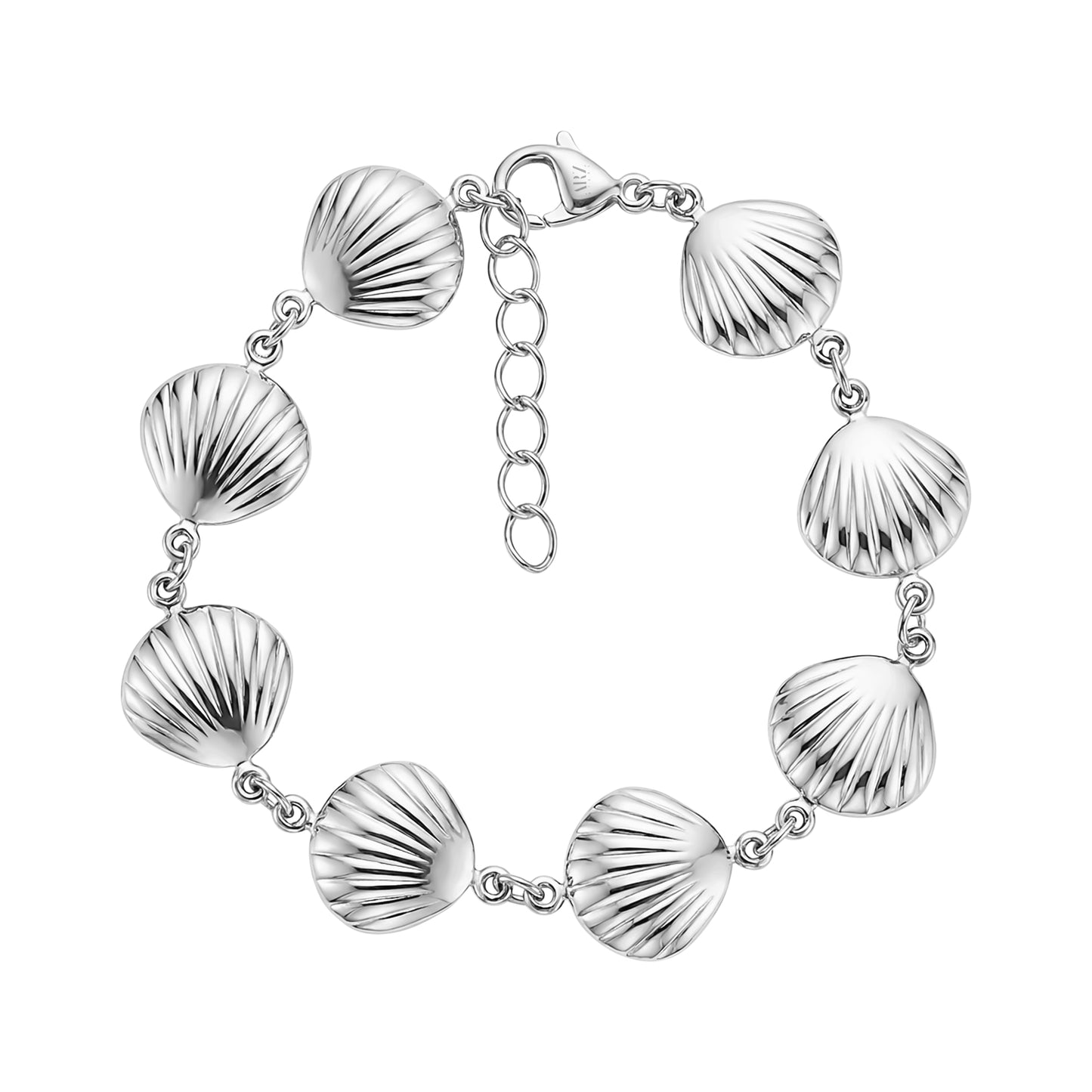 Silver stainless steel seashell link bracelet with adjustable chain clasp laid flat