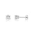 5mm Cubic Zircon Studs - Earrings - The Steel Shop
