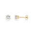 5mm Cubic Zircon Studs - Earrings - The Steel Shop